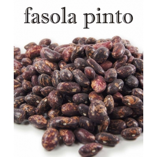 FASOLA PINTO